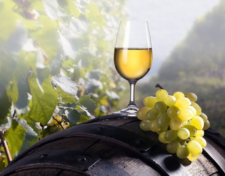Мінеральність вина залежить від ділянки, де росте виноград, і від його удобрення